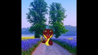 flower field landscape escape video walkthrough