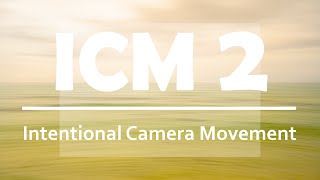 ICM 2 Intentional Camera Movement