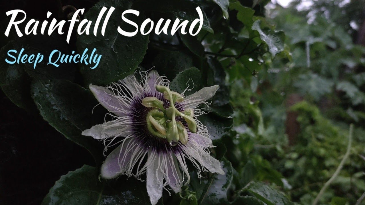 Raining sound for sleeping
