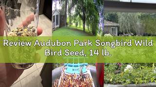 Review Audubon Park Songbird Wild Bird Seed, 14 lb. Review Audubon Park Songbird Wild Bird Seed, 14 lb.