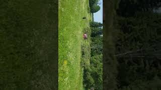 Puksiir 247 Tallinn 555 49 333