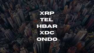 XRP - HBAR - XDC - ONDO - TEL LIVESTREAM - LORD CRYPTO TV