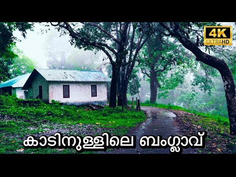 Old British Forest Bungalow | Peringalkuthu KSEB IB | 4K UHD