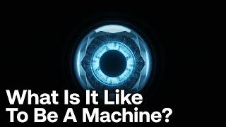 What Is It Like To Be A Machine?
