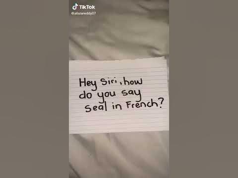 How to say seal in French - YouTube