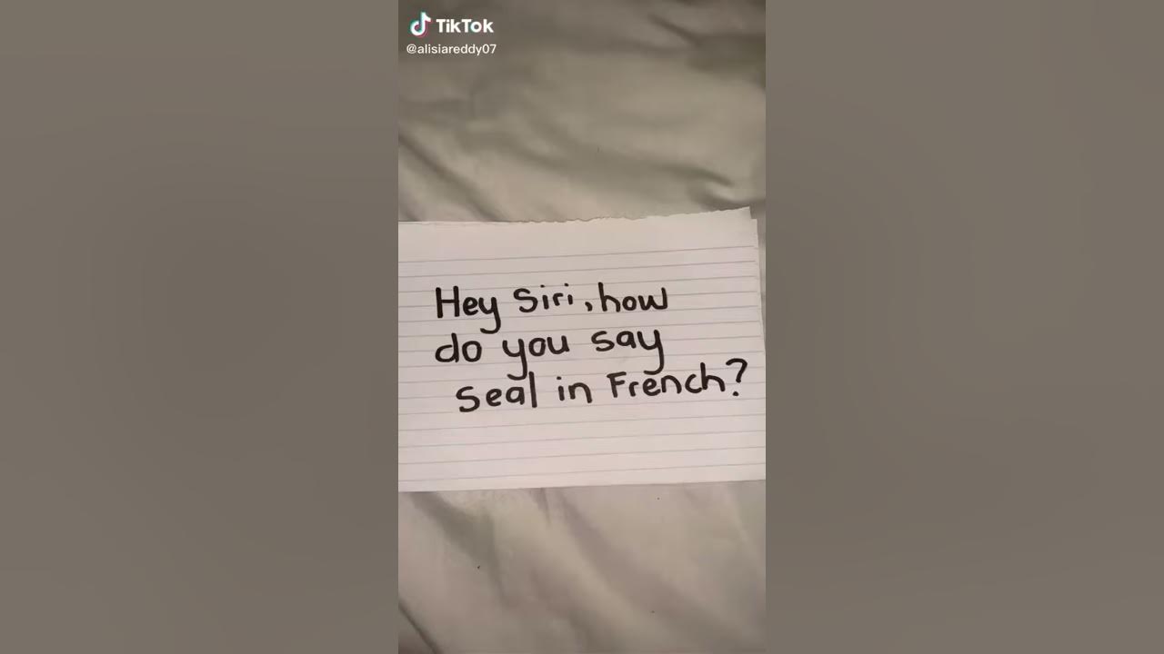 How to say seal in French YouTube