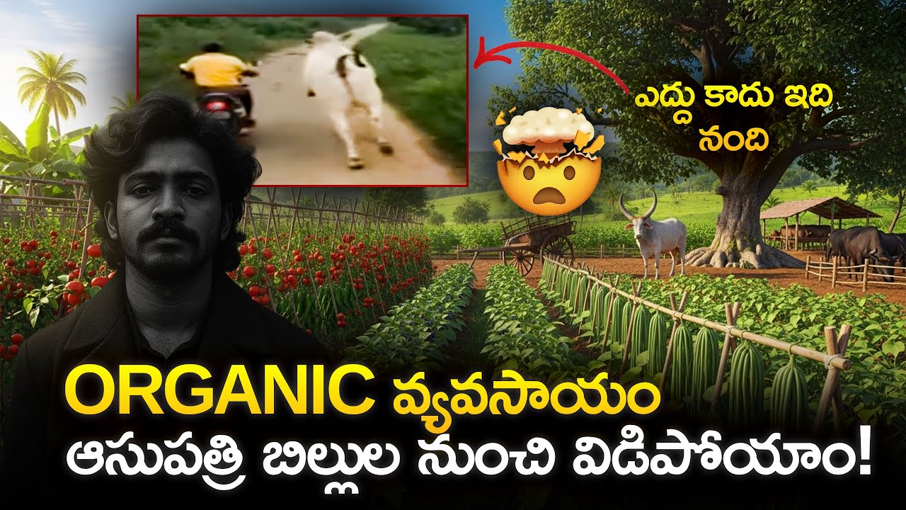 వీడితో పోటీపడేవాడు ఇంకా పుట్టలేడు మామా 🥵 | ORGANIC Farming 🌾 | Day - 15