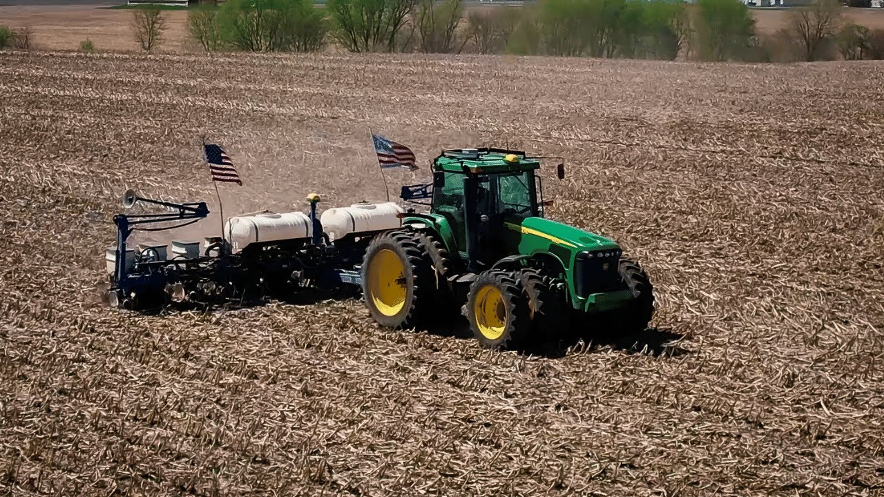 Planting Soybeans and Sorting Pigs YouTube
