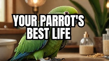 The Ultimate Alexandrine Parrot Care Guide