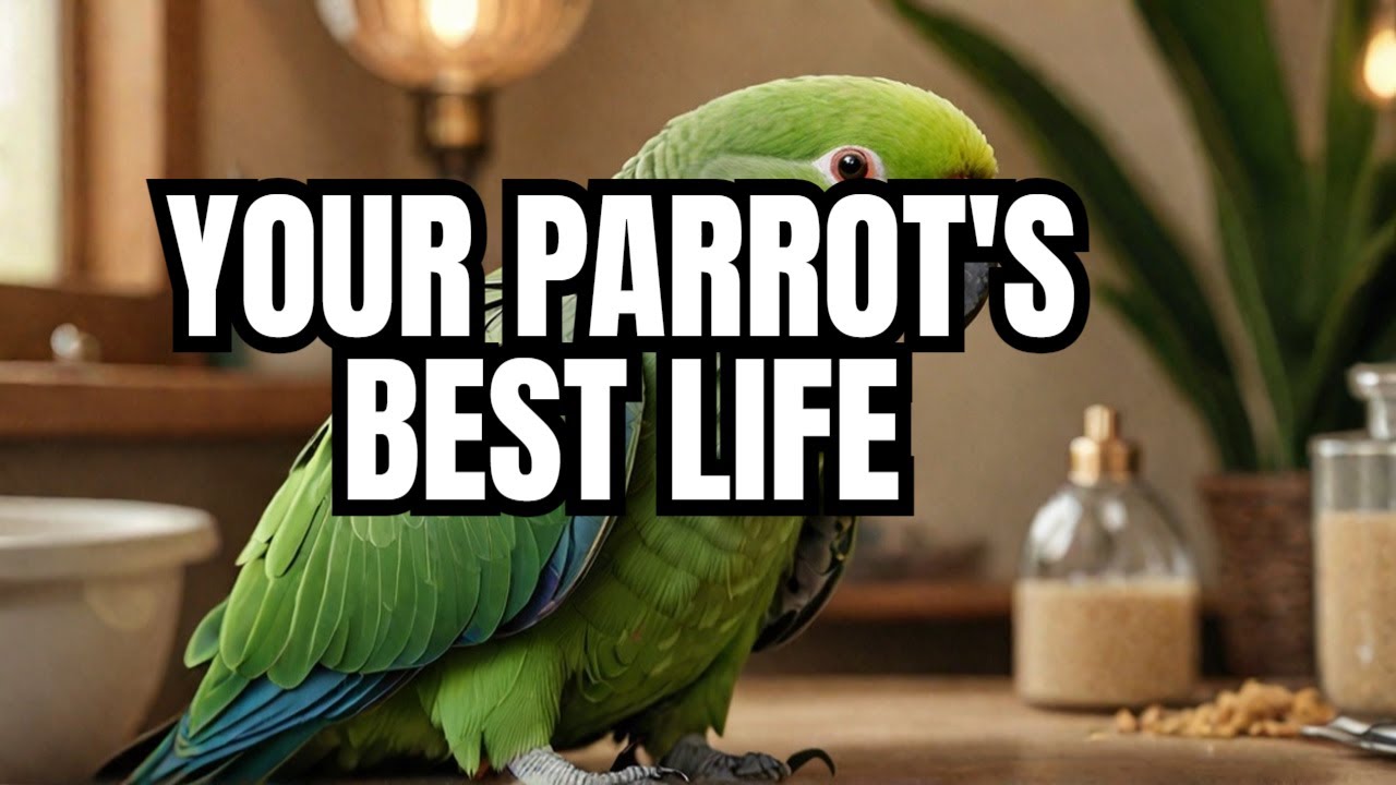 The Ultimate Alexandrine Parrot Care Guide