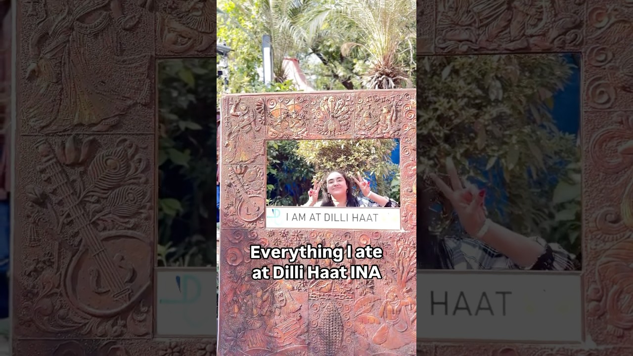 Everything I ate at dilli haat INA 