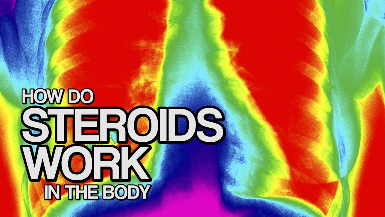 general healthcare resources How STEROIDS Work in the Body in 60 seconds!
