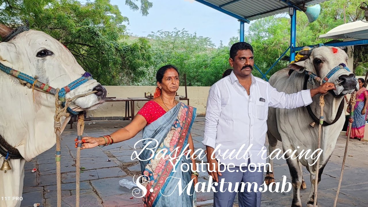 మరియైపురం సీనియర్స్ విభాగంలో 3వ MCOR బుల్స్