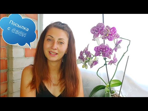 Если у Вас есть ОРХИДЕЯ вам Нужны эти СРЕДСТВА, протестировала они отлично работают/ OZON