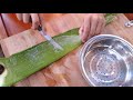 MAKING ALOE VERA GEL