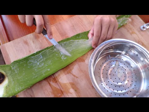MAKING ALOE VERA GEL