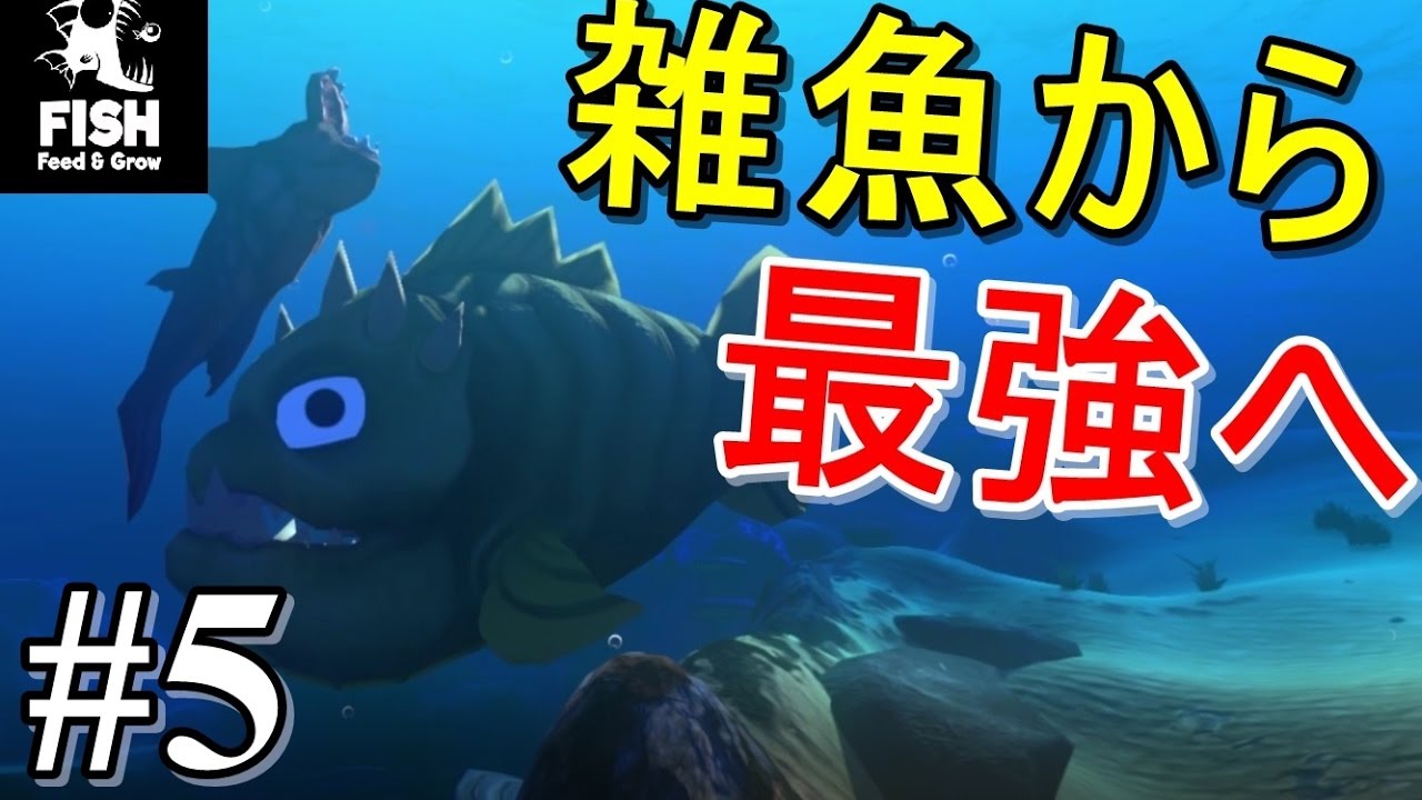 Kun 雑魚魚を育てて最強巨大魚にしてみた結果 5 魚ゲー Youtube