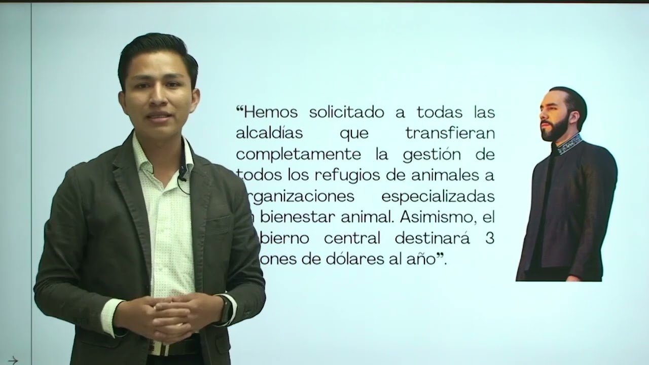 Aplicación de Ley de Bienestar Animal en EL Salvador.