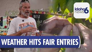Harsh Weather Reduces Entries at Western Idaho Fair