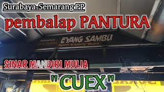 Naik Bis Balap Panturapo Sinar Mandiri Muliaeyang Sambu Cuex