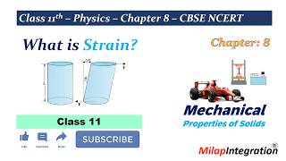 What Is Strain? | Types of Strain | Class 11 Physics