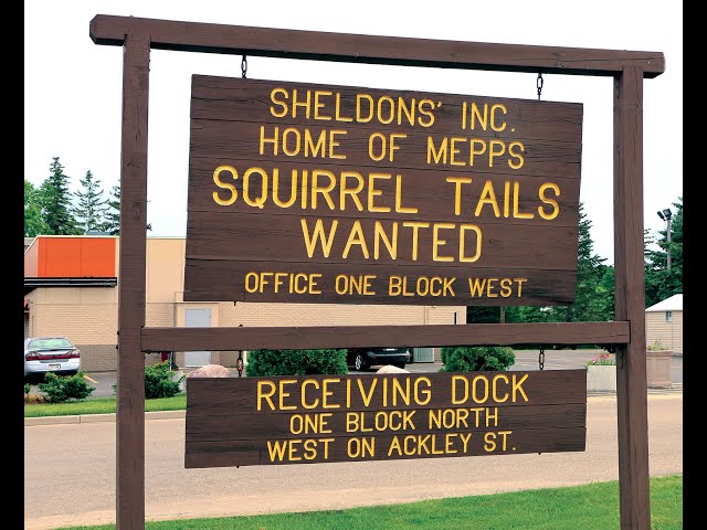 Squirrel Tails Wanted - The story of Mepps spinner and it's