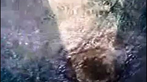 Last Map Slums Forfeit Win