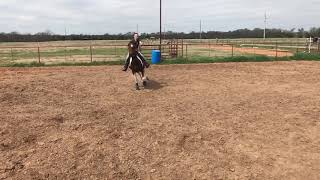 Details Fifi slo-mo flying lead change Guide