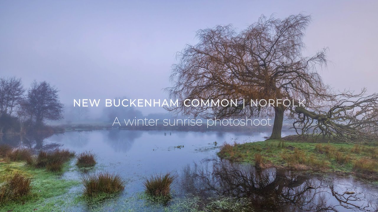 Winter sunrise at New Buckenham Common Norfolk