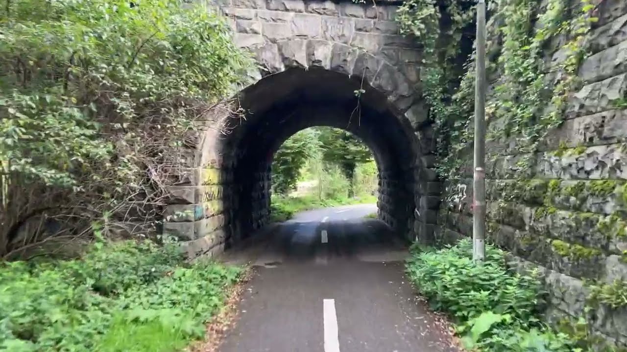 Swiss bike ride (Weise, Riehen, Fondation Beyeler, Basel)