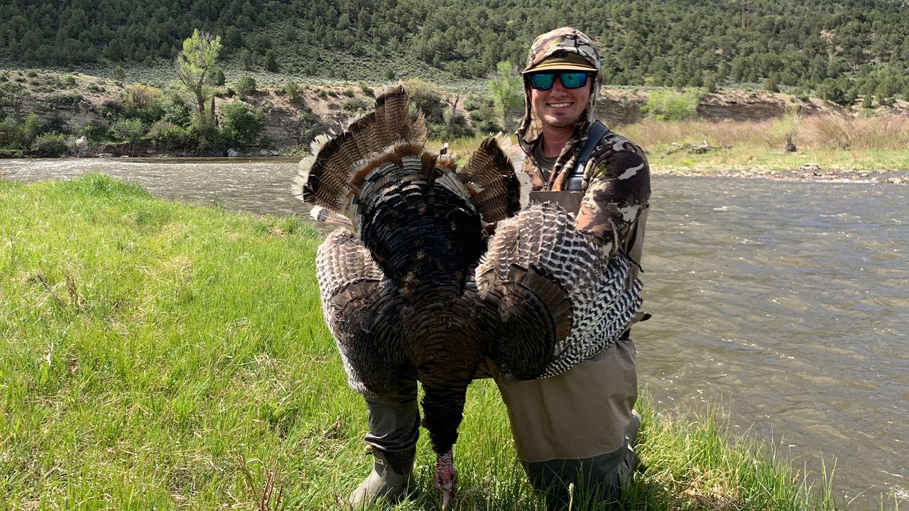 Turkey Hunting Colorado {Catch Clean Cook} Camping In The Mountains