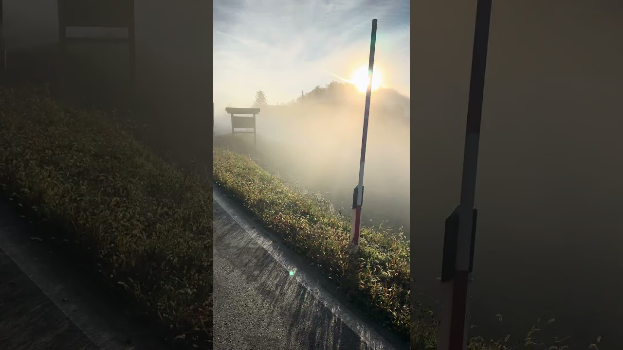 Colle Del Quazzo @nature 