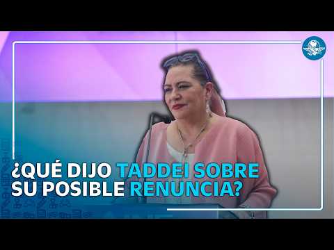Guadalupe Taddei descarta renunciar al INE tras señalamientos de corrupción