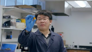 Dr. Qiming Wang: Bioinspired Manufacturing and Mechanics of Unprecedented Materials and Structures
