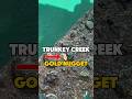 WHO KNEW!? Discovering GOLD NUGGETS under a blackberry bush in Australia #goldrush #sluice