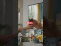 MagicIllusion #VFX #ShortsIndia #Mystery #TrendingReels #ScaryFun #ShortsFee