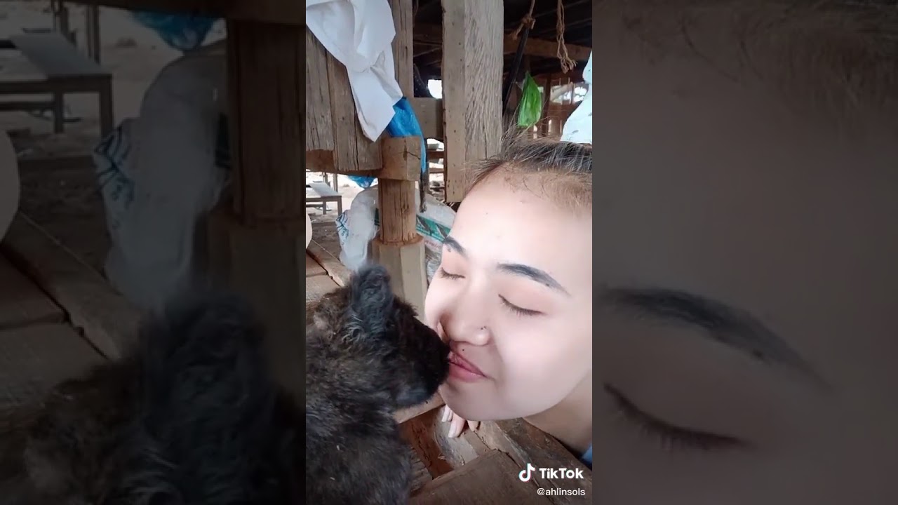 Viral Cewek Cantik Ciuman Sama Anjing YouTubeSexiezPix Web Porn