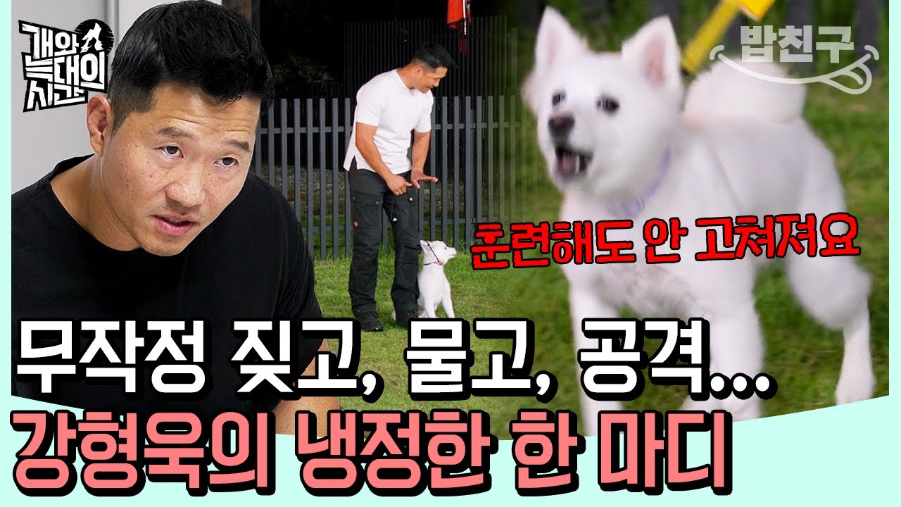 [#밥친구] 강형욱 “훈련해도 안 바뀐다” 냉정한 조언... 짖고 물고 덤비는 통제불가 문제견의 실태 | 개와 늑대의 시간 12회