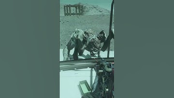 Starfield Surprise First Contact - The Elusive Terrormorph #Starfield