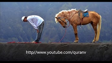 سورة يس.ماهر المعيقلي(قراءة تشرح الصدر)