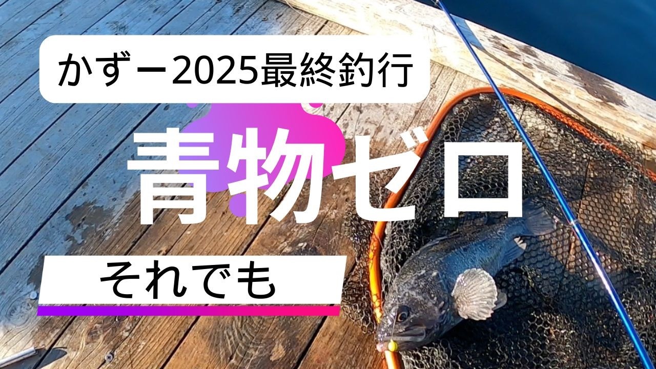 【海上釣堀】 かずー2025最終釣行 青物ゼロ それでも #伊勢志摩つりとも研究所 #iseken #辨屋 #海上釣堀 #fishing #pr #イセケン #フィッシングマックス #一撃イエロー