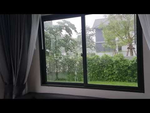ฝนซาน้ำตาหยุดไหล : ดวงตา คงทอง