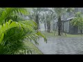 Peaceful Rain on Green Leaves 🍃 | Calming Nature Vlog for Relaxation