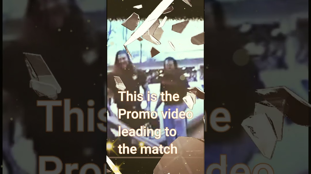 Macho Man vs Hulk Hogan Steel Cage Match