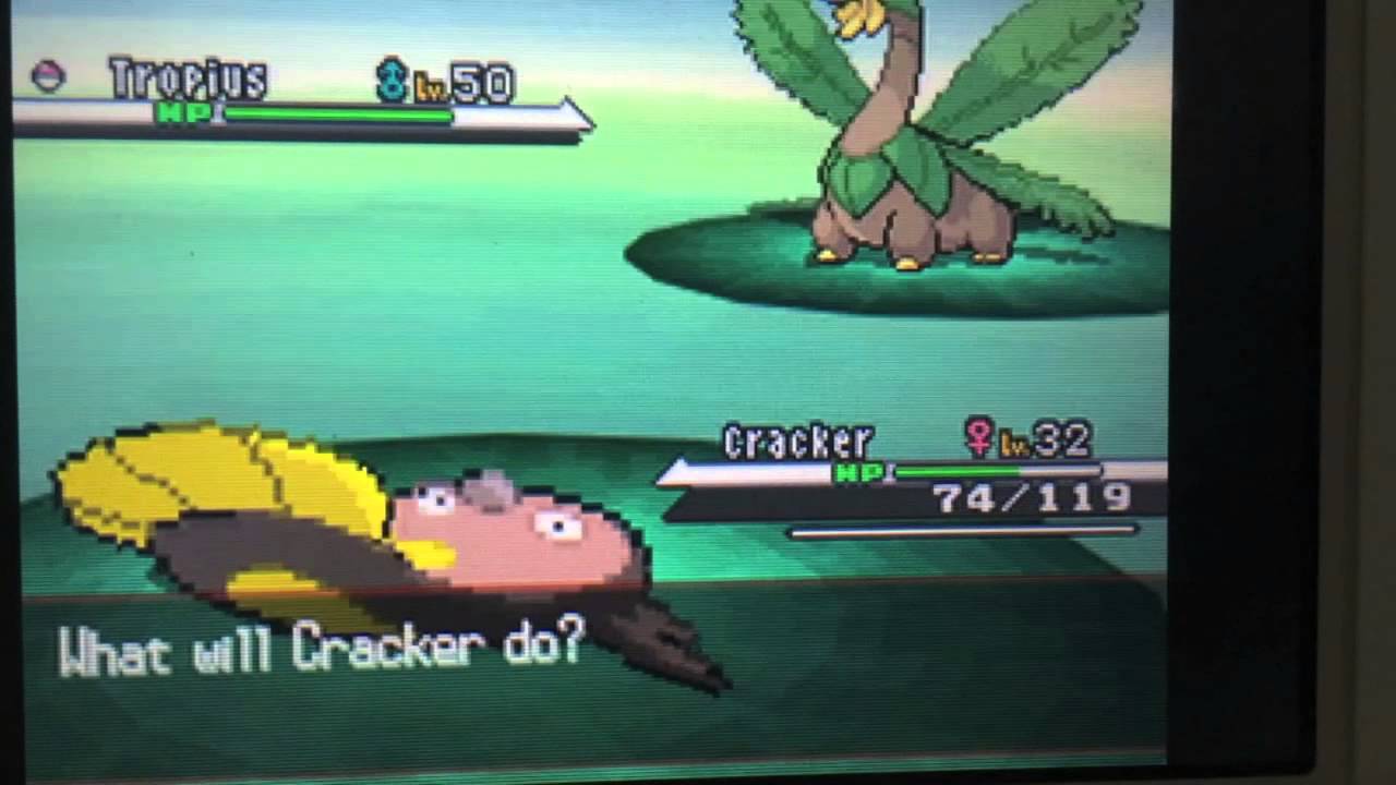 How Pros Nickname Pokemon