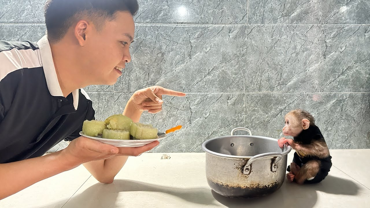 Super cute! Boll Boll rummages through the pot and Dad Dong finds out.