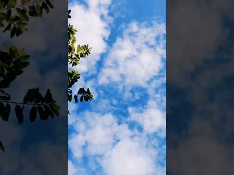 Blue Sky and Cloud ☁️