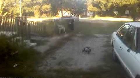 Traxxas rustler jump fail