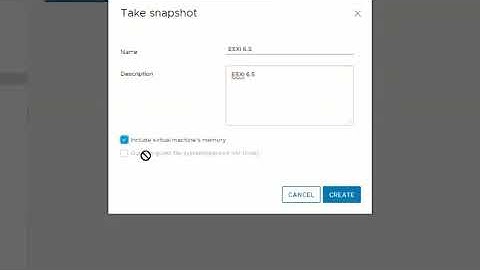 Taking  a snapshot of a VM in the vSphere Client