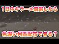 【検証】1日中キラーメ厳選したら色違い何匹配布できる？